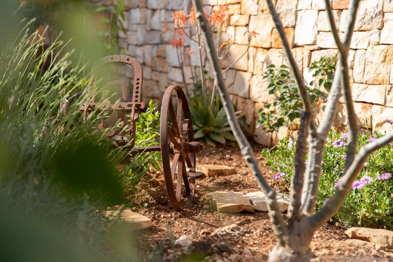 Villa Sun Garden - 4 Star Villa With Heated Swimming Pool, Quiet Bay, Bbq, 50M From The Sea Milna  Bagian luar foto